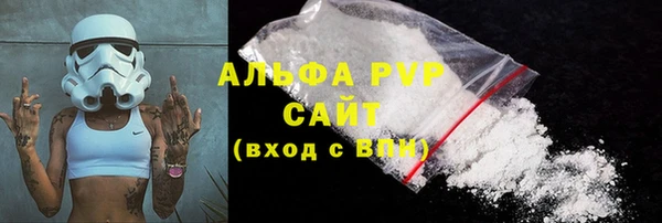 стаф Вязьма