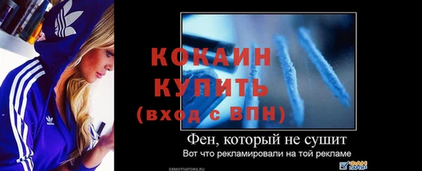 стаф Вязьма