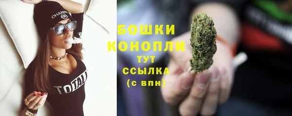 стаф Волоколамск