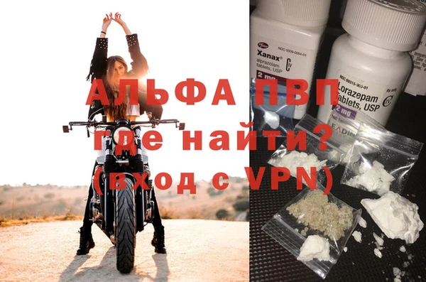 стаф Волоколамск