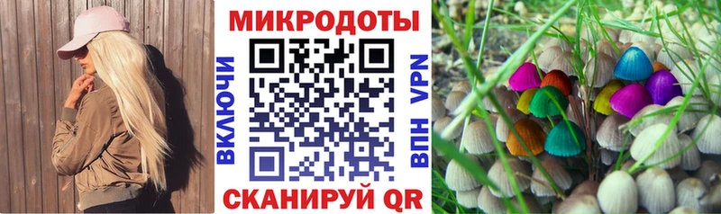 Купить закладки  Азов  Псилоцибиновые грибы мухоморы 